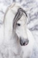 /album/fotogaleria/a555611-410890492281833-589228544-n-jpg/