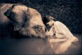 /album/fotogaleria/gregory-colbert-50-jpg/