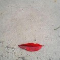/album/fotogaleria/labios-jpg/